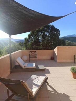 Villa avec grand jardin au centre de St Florent